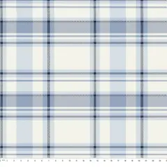 Springs Creative Modern Coastal Naomi Raffia Chambray Blue Fabric