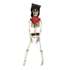 16" Pirate Skeleton by Ashland&reg;