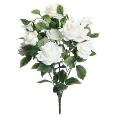 White Rose Bush by Ashland&reg;