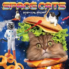TF Publishing 2024 Space Cats Wall Calendar