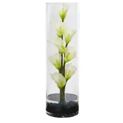 20" Calla Lily Arrangement in Cylinder Glass Vase Cream