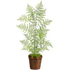 3ft. Ruffle Fern Artificial Tree in Basket