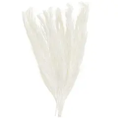 35" Natural Dried Palm Leaf Bundle with Feather-Inspired Stems White