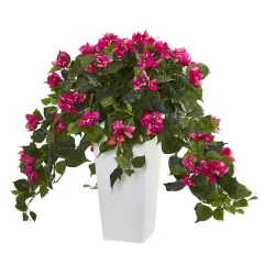 23" Bougainvillea in White Tower Planter