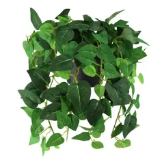 8" Decorative Green Vine Foliage in Brown Pot