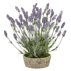 20in. Lavender Plant in Weathered Oak Planter