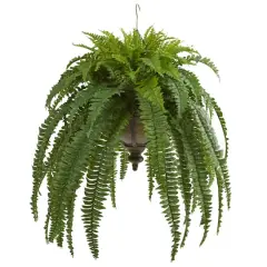 3ft. Boston Fern Plant in Metal Hanging Bowl