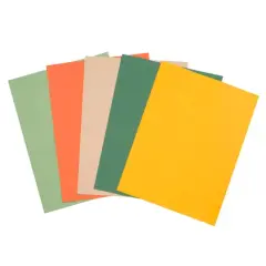 8.5" x 11" 65lb. Cardstock Paper Pack by Recollections&trade;, 50 Sheets Apricot Crush