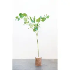 Hello Honey&reg; 54" Faux Eucalyptus Branch