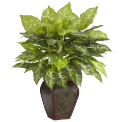23" Dieffenbachia Tree In Decorative Vase