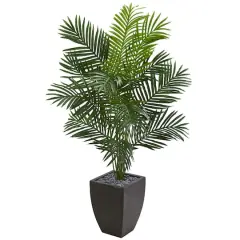 5.5ft. Paradise Artificial Palm Tree in Black Planter