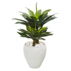 3ft. Double Agave Succulent Plant in White Planter