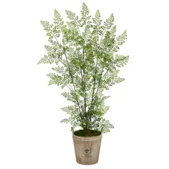 5.5ft. Ruffle Fern Artificial Tree in Farmhouse Planter