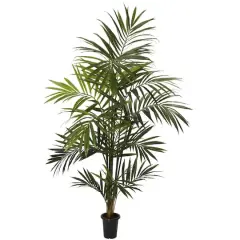 7ft. Potted Kentia Palm Tree