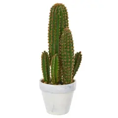 1.5ft. Cactus Succulent in White Planter