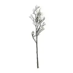 Black Bare Branch Stem by Ashland&reg;