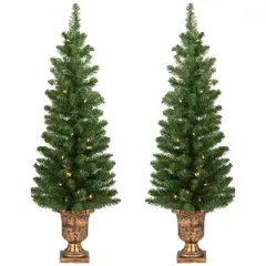 2 Pack 4ft. Pre-Lit Whitmire Pine Artificial Christmas Tree in Gold Urn Planter, Clear Lights