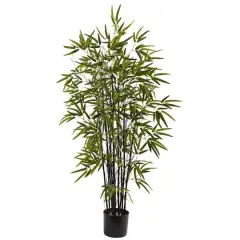 4ft. Potted Black Bamboo Tree