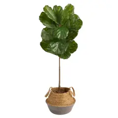 4ft. Fiddle Leaf Artificial Tree in Boho Chic Handmade Cotton & Jute Gray Woven Planter UV Resistant (Indoor/Outdoor)