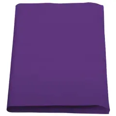 JAM Paper Tissue Paper, 480 Sheets Purple