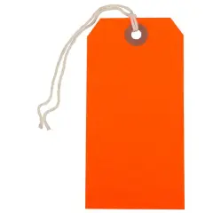 JAM Paper Medium Gift Tags with String Neon Red