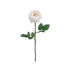 White Garden Cabbage Rose Spray
