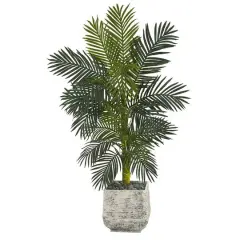 5ft. Golden Cane Palm Tree in White Planter