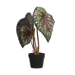 Hello Honey&reg; 23" Round Faux Begonia Plant in Plastic Pot