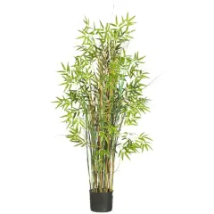 5ft. Potted Bamboo Grass Plant