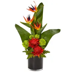 2ft. Bird of Paradise Arrangement in Black Vase