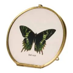 Hello Honey&reg; Brass & Glass 5.5" x 5.5" Photo Frame