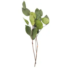 24" Basil Salal Foliage by Ashland&reg;