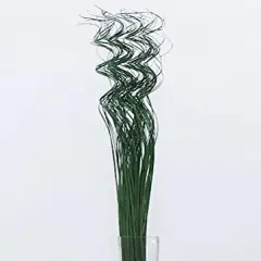 TF Publishing Natural Curly Ting Branch Stems, 35ct. Green