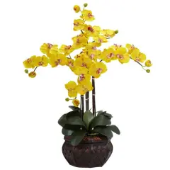 2.5ft. Yellow Moth Orchid Arrangement with Decorative Vase