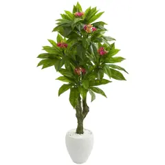 5.5ft. Plumeria Tree in White Planter