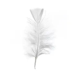 John Bead 4"-6" Marabou Feathers White