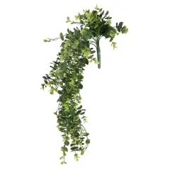 Green Hanging Eucalyptus Bush by Ashland&reg;