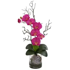 24" Moth Orchid in Clear Vase Dark Pink