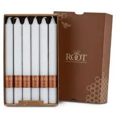 Root Candles 9" Unscented Timberline&trade; Arista&trade; Taper Candles, 12ct. White