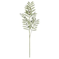 36" Olive Berry Branch by Ashland&reg;