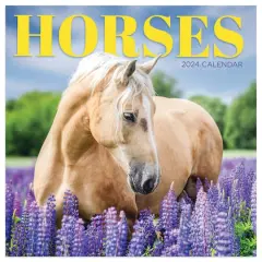 TF Publishing 2024 Horses Mini Calendar