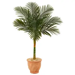 4.5ft. Golden Cane Palm Tree in Terra-Cotta Planter
