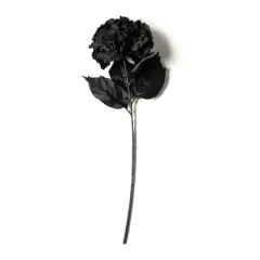 Black Hydrangea Stem by Ashland&reg;
