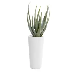 3ft. Contemporary Style Succulent Artificial Foliage in White Pot