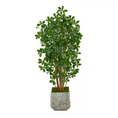 5.5ft. Black Olive Artificial Tree with 1365 Bendable Leaves in White Planter