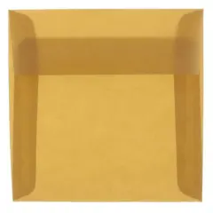 JAM Paper 8" x 8" Square Translucent Vellum Invitation Envelopes, 25ct. Earth Brown