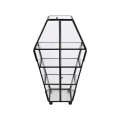 9" Glass Coffin Shelf by Ashland&reg;