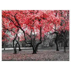 Designart - Red flower Trees Blossom - Floral Landscapes Photographic on wrapped Canvas