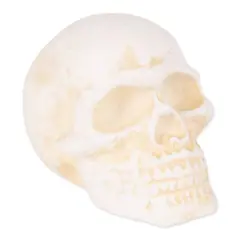 DII&reg; Human Skull Cast Iron Paperweight