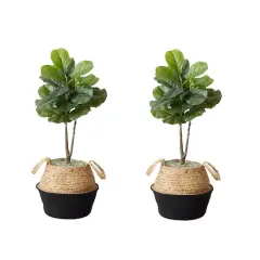 3ft. Artificial Fiddle Leaf Fig Tree With Handmade Cotton & Jute Woven Planter Set DIY Kit Black